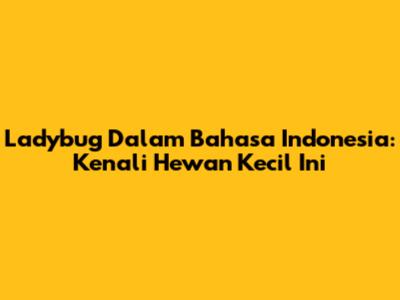 Ladybug Dalam Bahasa Indonesia: Kenali Hewan Kecil Ini