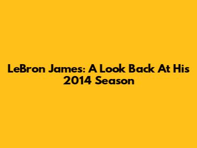 LeBron James: A Look Back At His 2014 Season