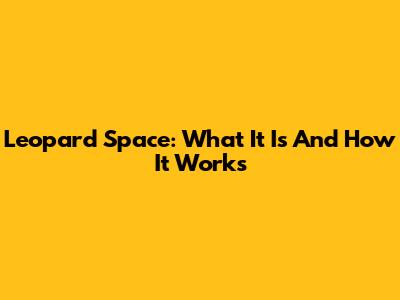 Leopard Space: What It Is And How It Works