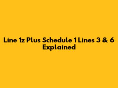 Line 1z Plus Schedule 1 Lines 3 & 6 Explained