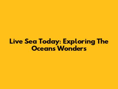 Live Sea Today: Exploring The Ocean's Wonders