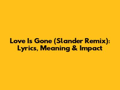 Love Is Gone (Slander Remix): Lyrics, Meaning & Impact
