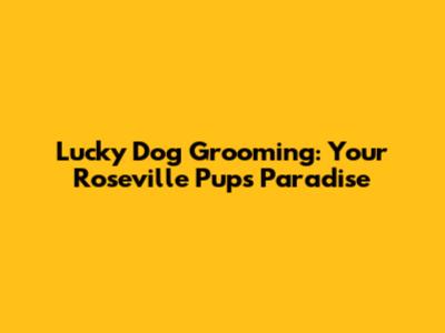 Lucky Dog Grooming: Your Roseville Pup's Paradise