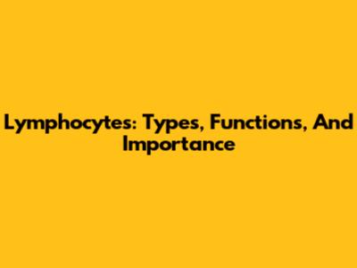 Lymphocytes: Types, Functions, And Importance