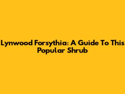 Lynwood Forsythia: A Guide To This Popular Shrub