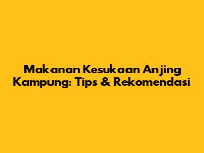 Makanan Kesukaan Anjing Kampung: Tips & Rekomendasi