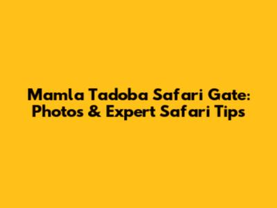 Mamla Tadoba Safari Gate: Photos & Expert Safari Tips