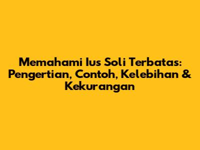 Memahami Ius Soli Terbatas: Pengertian, Contoh, Kelebihan & Kekurangan