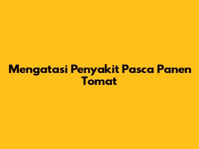 Mengatasi Penyakit Pasca Panen Tomat