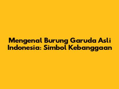 Mengenal Burung Garuda Asli Indonesia: Simbol Kebanggaan