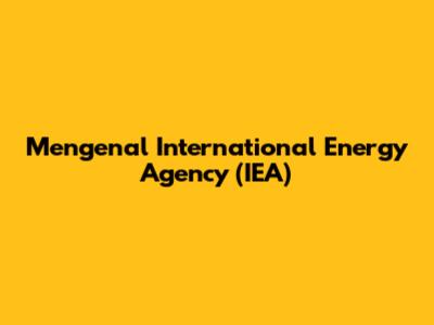 Mengenal International Energy Agency (IEA)