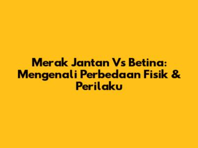 Merak Jantan Vs Betina: Mengenali Perbedaan Fisik & Perilaku