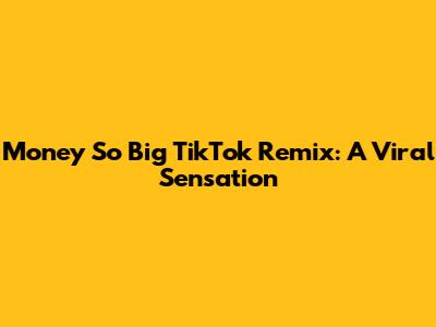 Money So Big TikTok Remix: A Viral Sensation