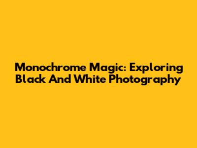 Monochrome Magic: Exploring Black And White Photography