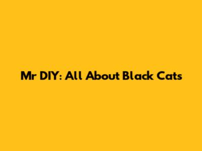 Mr DIY: All About Black Cats