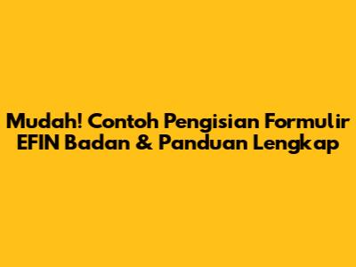Mudah! Contoh Pengisian Formulir EFIN Badan & Panduan Lengkap