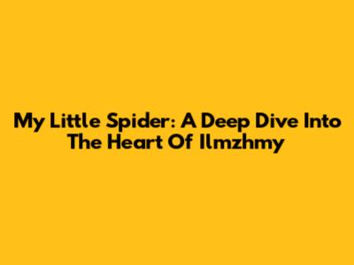 My Little Spider: A Deep Dive Into The Heart Of Ilmzhmy
