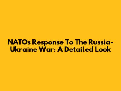 NATO's Response To The Russia-Ukraine War: A Detailed Look