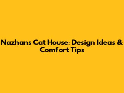 Nazhan's Cat House: Design Ideas & Comfort Tips