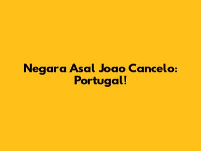 Negara Asal Joao Cancelo: Portugal!