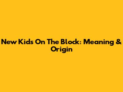 New Kids On The Block: Meaning & Origin