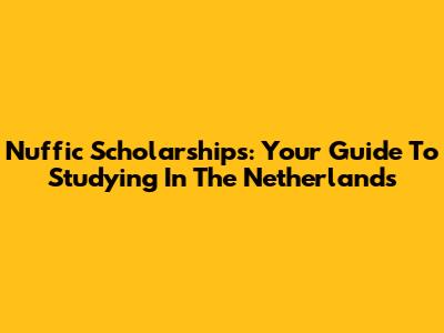 Nuffic Scholarships: Your Guide To Studying In The Netherlands