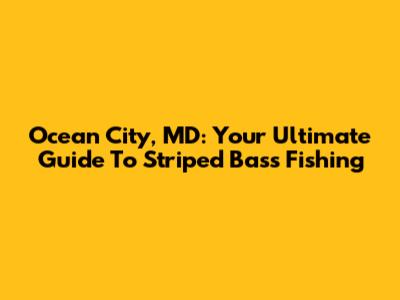Ocean City, MD: Your Ultimate Guide To Striped Bass Fishing