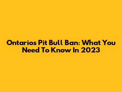 Ontario's Pit Bull Ban: What You Need To Know In 2023