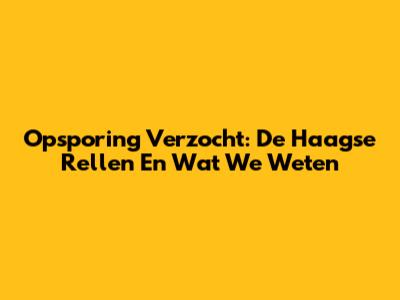 Opsporing Verzocht: De Haagse Rellen En Wat We Weten