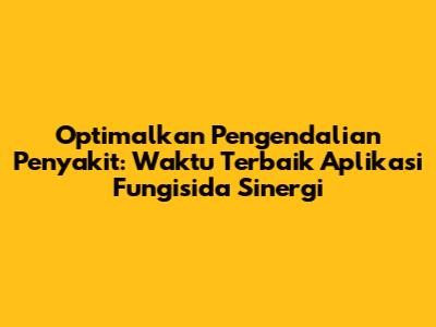 Optimalkan Pengendalian Penyakit: Waktu Terbaik Aplikasi Fungisida Sinergi