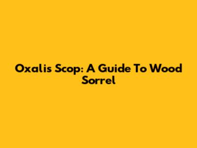 Oxalis Scop: A Guide To Wood Sorrel