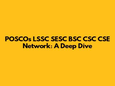 POSCO's LSSC SESC BSC CSC CSE Network: A Deep Dive