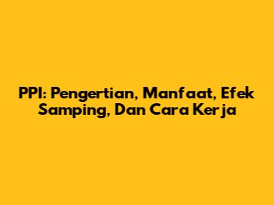 PPI: Pengertian, Manfaat, Efek Samping, Dan Cara Kerja