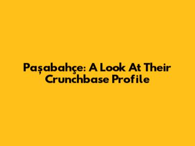 Paşabahçe: A Look At Their Crunchbase Profile