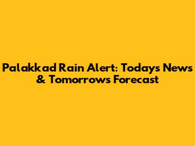 Palakkad Rain Alert: Today's News & Tomorrow's Forecast