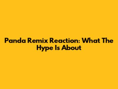 Panda Remix Reaction: What The Hype Is About