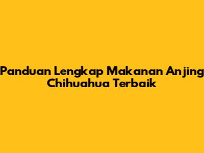Panduan Lengkap Makanan Anjing Chihuahua Terbaik