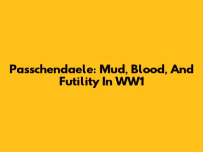 Passchendaele: Mud, Blood, And Futility In WW1