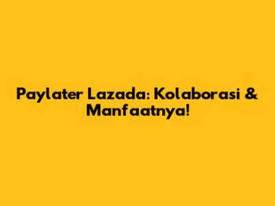 Paylater Lazada: Kolaborasi & Manfaatnya!