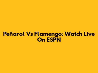 Peñarol Vs Flamengo: Watch Live On ESPN