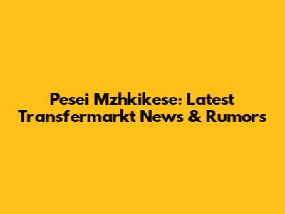 Pesei Mzhkikese: Latest Transfermarkt News & Rumors