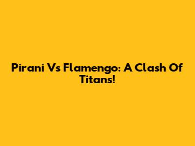 Pirani Vs Flamengo: A Clash Of Titans!