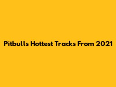 Pitbull's Hottest Tracks From 2021