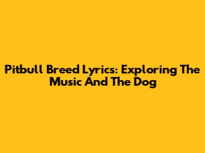 Pitbull Breed Lyrics: Exploring The Music And The Dog