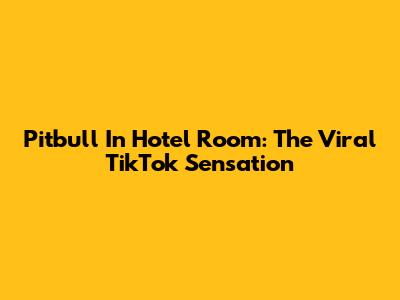 Pitbull In Hotel Room: The Viral TikTok Sensation