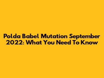 Polda Babel Mutation September 2022: What You Need To Know