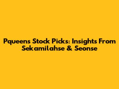 Pqueen's Stock Picks: Insights From Sekamilahse & Seonse