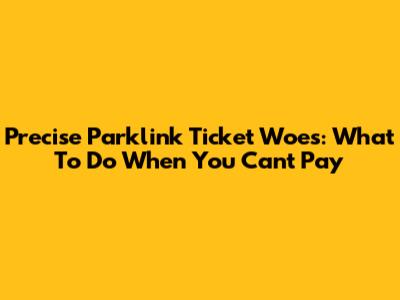 Precise Parklink Ticket Woes: What To Do When You Can't Pay
