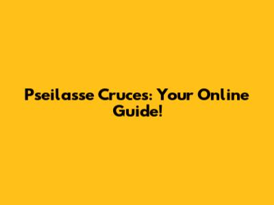 Pseilasse Cruces: Your Online Guide!