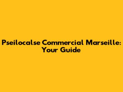 Pseilocalse Commercial Marseille: Your Guide